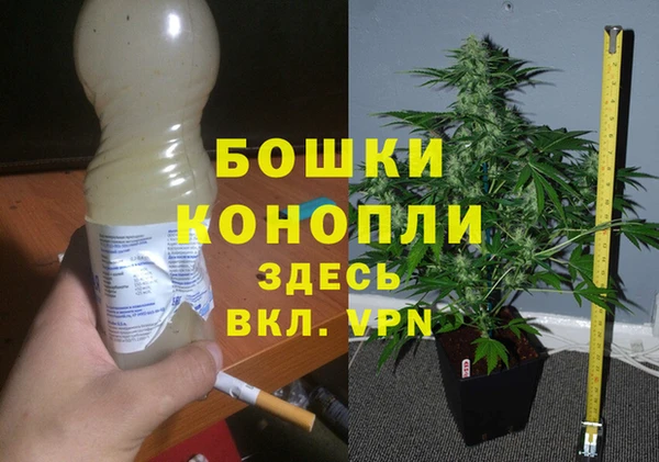 прущие грибы Баксан