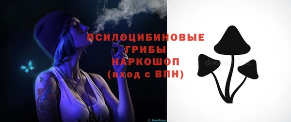МДПВ Слюдянка