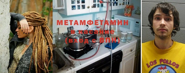 прущие грибы Баксан