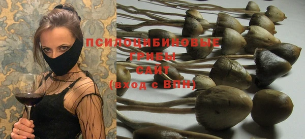 PSILOCYBIN Балабаново