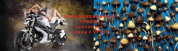 PSILOCYBIN Балабаново