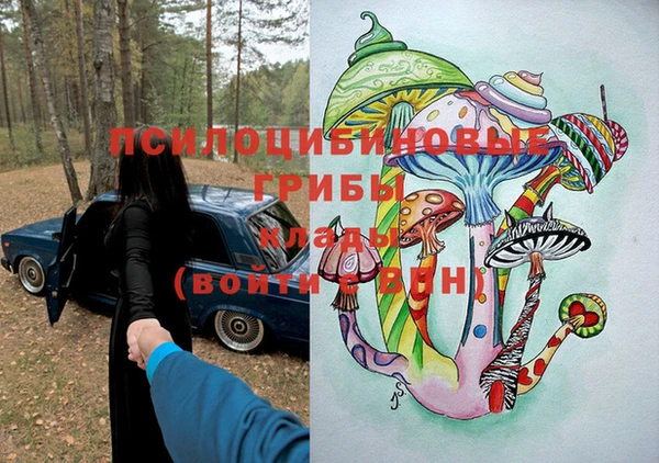 молекула духа Балахна