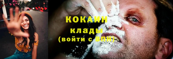 мяу мяу мука Снежногорск