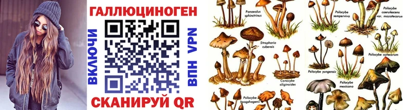 Псилоцибиновые грибы GOLDEN TEACHER  МЕГА вход  Няндома 